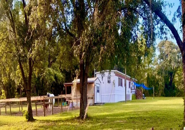 1st image of 6250 Se 150th Ave, Morriston, FL 32668 | MLS# OM716103