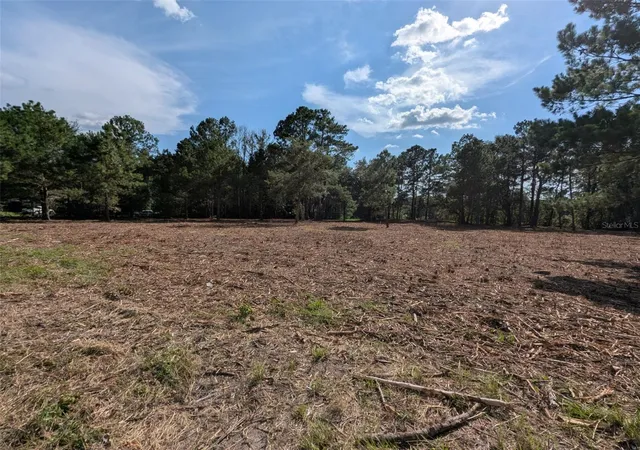 Photo 1 of Land for sale at 5781 Sw 91st Place, Lake Butler, FL 32054 | MLS# GC539414 | Listing updated on 2026-09-03