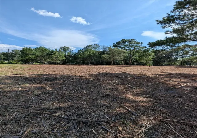 Photo 2 of Land for sale at 5781 SW 91st Place, Lake Butler, FL 32054 | MLS# GC539414 | Listing updated on 2026-09-03