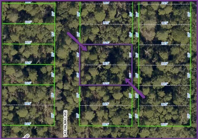 Photo 3 of Land for sale at 0 Las Palmas Ave #LOT 11 & 12, Spring Hill, FL 34606 | MLS# O6399012 | Listing updated on 2026-08-18