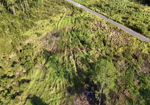 Photo 3 of Land for sale at Avonwood, Tampa, FL 33625 | MLS# S5148228 | Listing updated on 2026-08-18