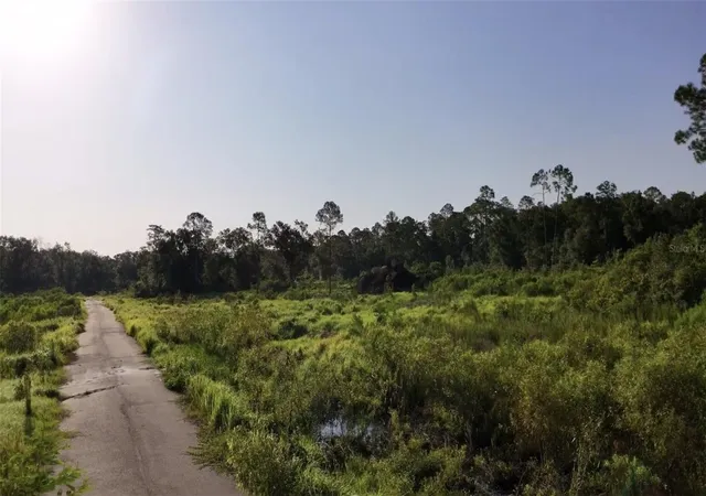 Photo 4 of Land for sale at Avonwood, Tampa, FL 33625 | MLS# S5148228 | Listing updated on 2026-08-18