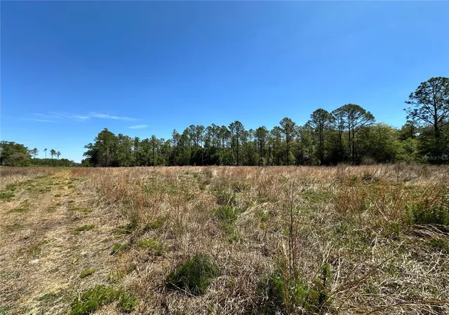 1st image of Tbd Ne 128th Ln, Bronson, FL 32621 | MLS# OM723397