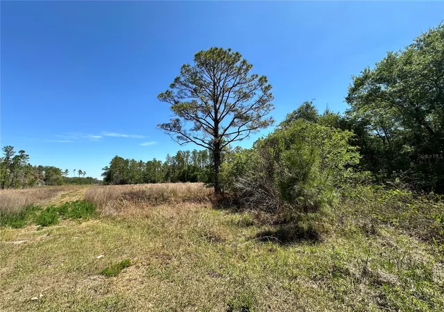 2nd image of Tbd Ne 128th Ln, Bronson, FL 32621 | MLS# OM723397