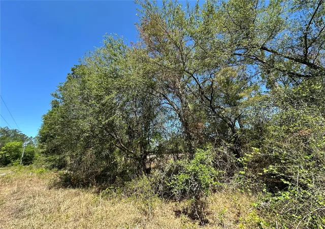 3rd image of Tbd Ne 128Th Ln, Bronson, FL 32621 | MLS# OM723397