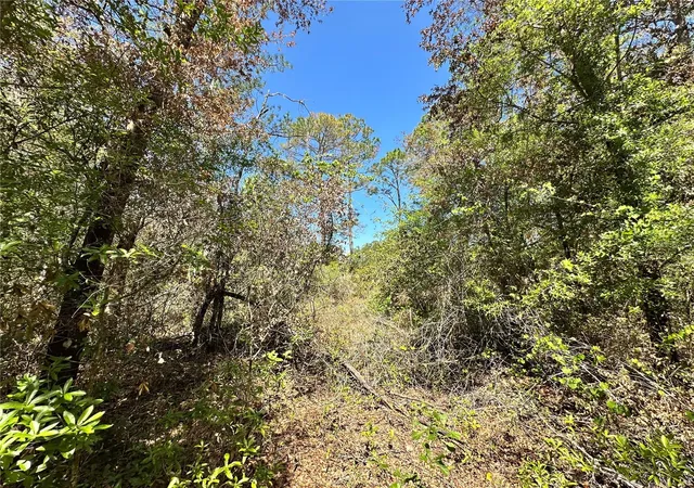 5th image of Tbd Ne 128Th Ln, Bronson, FL 32621 | MLS# OM723397