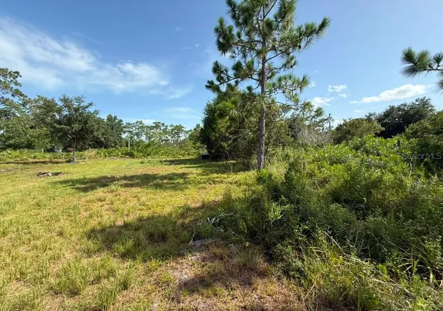 Photo 3 of Land for sale at 6139 Krazy, Saint Cloud, FL 34773 | MLS# S5150793 | Listing updated on 2026-09-02