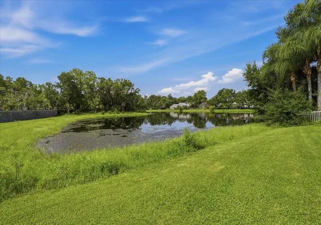 96th image of 17024 Winners Cir, Odessa, FL 33556 | MLS# TB8515575