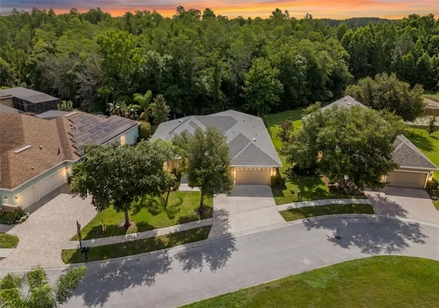 1st image of 14834 Man O War Dr, Odessa, FL 33556 | MLS# TB8523886