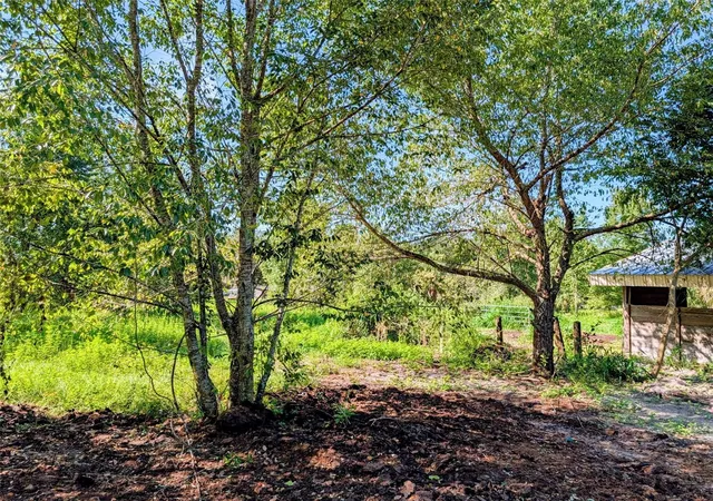 3rd image of 21320 Seneca Hills Rd, Eustis, FL 32736 | MLS# R4911536