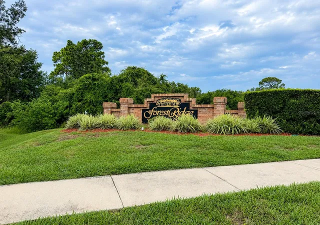 45th image of 1959 Wood Trail St, Tarpon Springs, FL 34689 | MLS# TB8527477