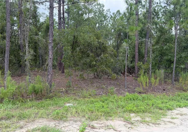 Photo 1 of Land for sale at 00 Sw 131 Avenue, Ocala, FL 34481 | MLS# OM728237 | Listing updated on 2026-08-25