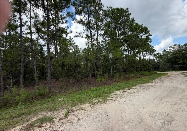 Photo 2 of Land for sale at 00 Sw 131 Avenue, Ocala, FL 34481 | MLS# OM728237 | Listing updated on 2026-08-25