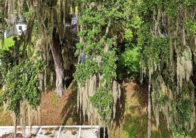 Photo 43 of Single family home for sale at 3128 Mango Tree Dr, Edgewater, FL 32141 | MLS# V4950209 | Listing updated on 2026-08-28