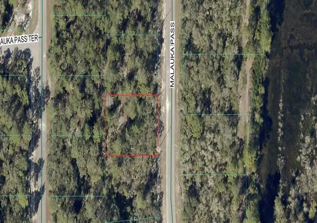 1st image of Tbd Malauka Pass, Ocklawaha, FL 32179 | MLS# OM728514