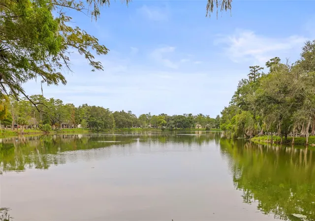 46th image of 2556 Royal Pines Cir #13-C, Clearwater, FL 33763 | MLS# TB8529554