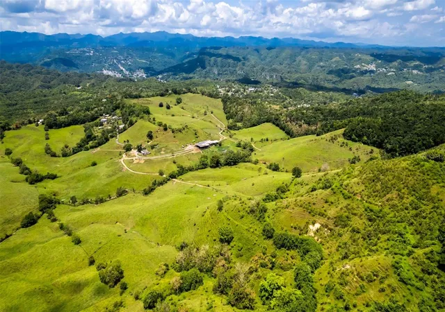 Photo 4 of Land for sale at Km 16 633, Morovis, PR 00687 | MLS# PR9122803 | Listing updated on 2026-08-21