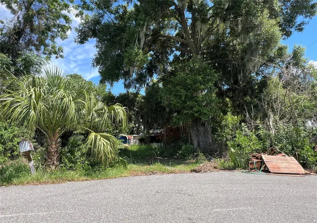 Photo 3 of Single family home for sale at 2979 S Grove St, Eustis, FL 32726 | MLS# O6425935 | Listing updated on 2026-08-18