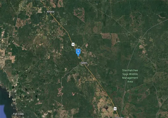 Photo 3 of Land for sale at 15701 Us 19, Perry, FL 32348 | MLS# A4700350 | Listing updated on 2026-09-02