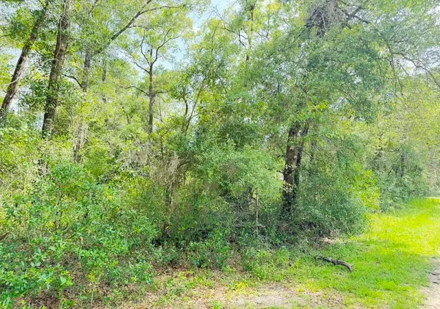 Photo 4 of Land for sale at 3560 E Bellshire Pl, Inverness, FL 34453 | MLS# O6426411 | Listing updated on 2026-09-07