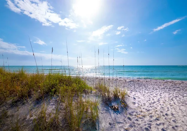 50th image of 1906 Harbourside Dr #304, Longboat Key, FL 34228 | MLS# A4700558