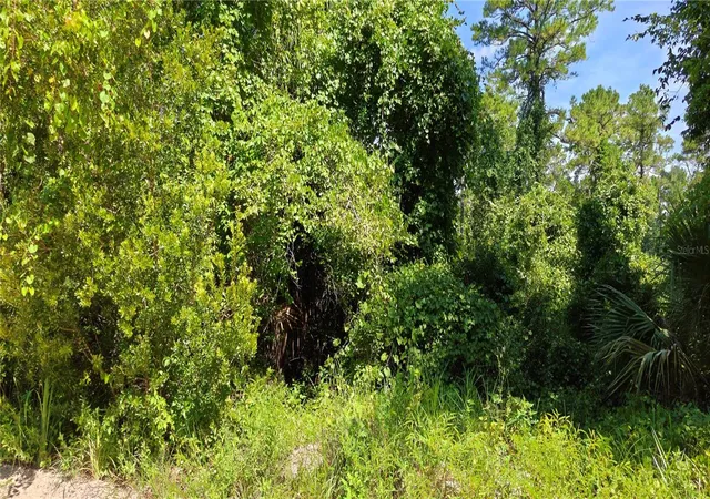 Photo 1 of Land for sale at 212 N 2nd Avenue, Satsuma, FL 32189 | MLS# V4950308 | Listing updated on 2026-08-17