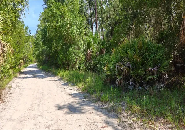 Photo 2 of Land for sale at 212 N 2nd Avenue, Satsuma, FL 32189 | MLS# V4950308 | Listing updated on 2026-08-17