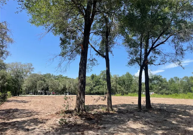 4th image of Tbd Sw 98Th St, Dunnellon, FL 34432 | MLS# O6427320
