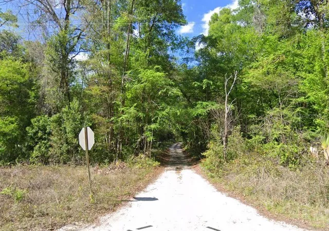 Photo 3 of Land for sale at 676th Lane, Old Town, FL 32680 | MLS# A4700833 | Listing updated on 2026-08-18