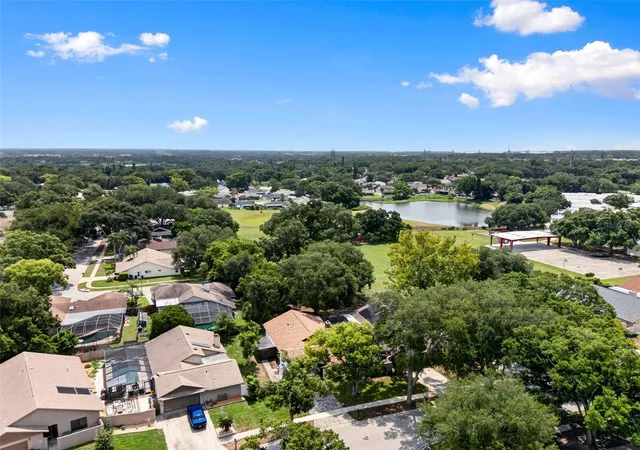 45th image of 647 Bonnie Blvd, Palm Harbor, FL 34684 | MLS# TB8532414
