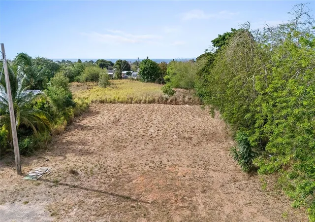 Photo 12 of Land for sale at Pr 459 Km 133 Bejucos, Isabela, PR 00662 | MLS# PR9122972 | Listing updated on 2026-08-18