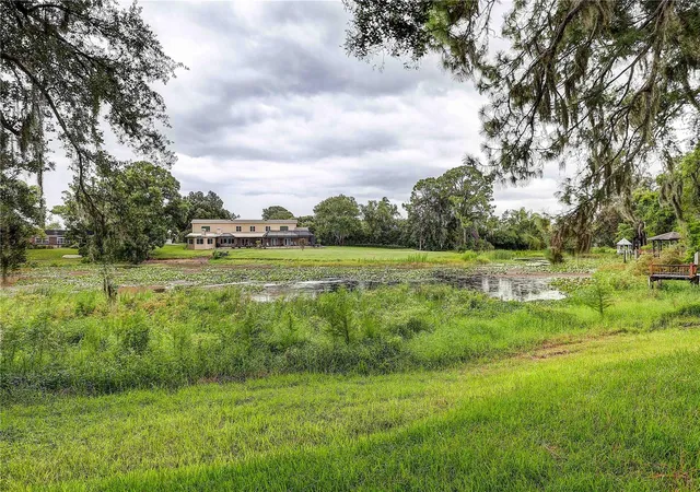 64th image of 1508 Eckles Dr, Tampa, FL 33612 | MLS# TB8532683