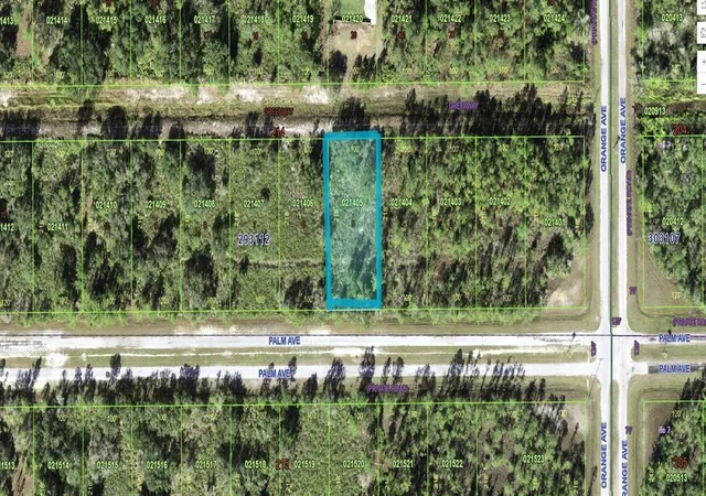 3rd image of 810 Palm Ave, Frostproof, FL 33843 | MLS# P4939426