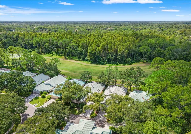 58th image of 6005 Fairway Palms Ct, Tampa, FL 33647 | MLS# TB8533234