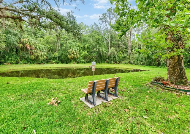2nd image of 3232 Lake Pine Wy E, TARPON SPRINGS, FL 34688