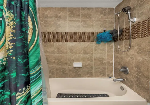 3rd image of 2904 W Chestnut St, Tampa, FL 33607