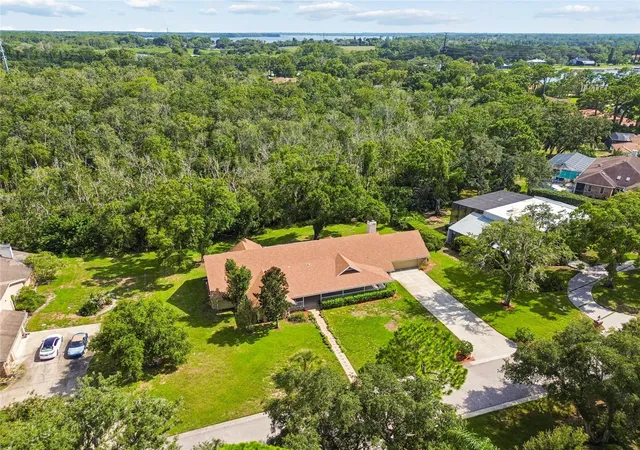 95th image of 1055 Riverside Ridge Rd, Tarpon Springs, FL 34688 | MLS# TB8533873