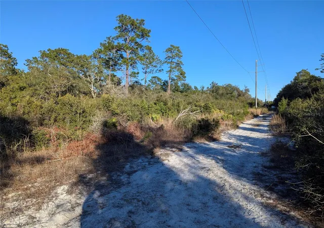 Photo 3 of Land for sale at Nelson Ave, Orange City, FL 32763 | MLS# V4950474 | Listing updated on 2026-09-01