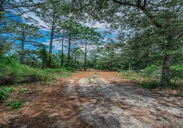 4th image of 12132 Frankwood Rd, Brooksville, FL 34614 | MLS# TB8534109