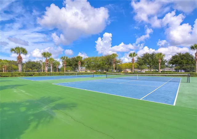 64th image of 19707 Ellendale Dr, Land O Lakes, FL 34638 | MLS# TB8534168