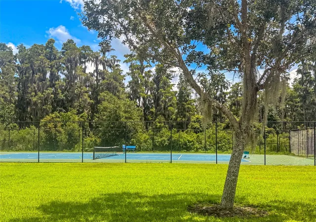 43rd image of 10302 Stone Moss Ave, Tampa, FL 33647 | MLS# TB8534879