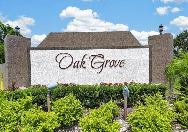 63rd image of 24519 Breezy Oak Ct, Lutz, FL 33559 | MLS# TB8534955