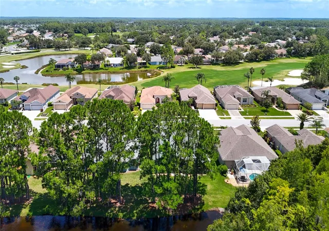 79th image of 1535 Morning Rose Pl, Trinity, FL 34655 | MLS# TB8535097
