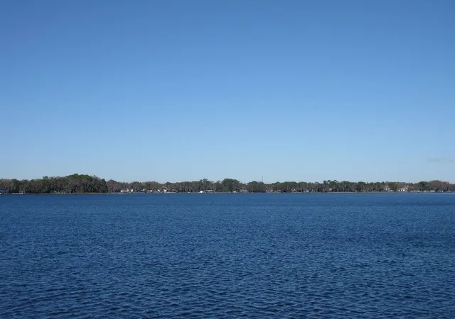 1st image of 18618 Wayne Rd, Odessa, FL 33556 | MLS# O6430156
