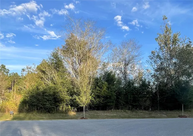2nd image of 2375 Nw 150th Blvd, Newberry, FL 32669 | MLS# GC542443