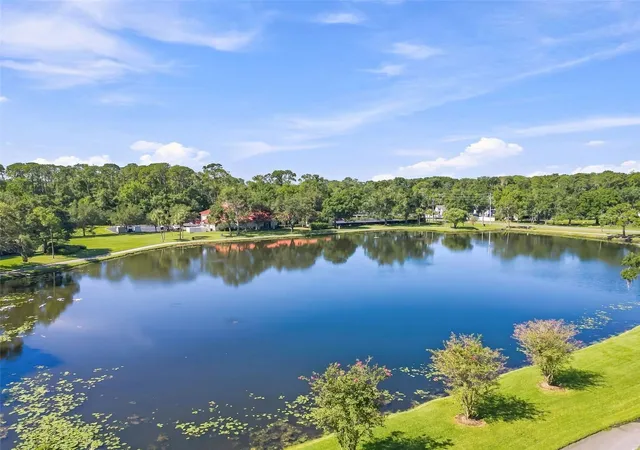 2nd image of 3587 Indigo Pond Dr, PALM HARBOR, FL 34685