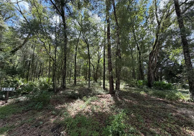 1st image of Tbd Sw 170th St, Archer, FL 32618 | MLS# GC542513