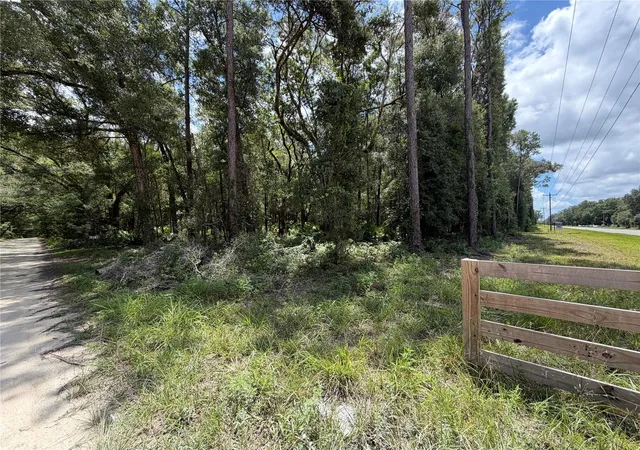 3rd image of Tbd Sw 170Th St, Archer, FL 32618 | MLS# GC542513
