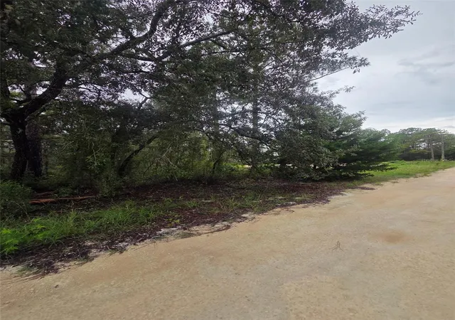 2nd image of 15326 Mottled Owl Rd, Brooksville, FL 34614 | MLS# TB8536255