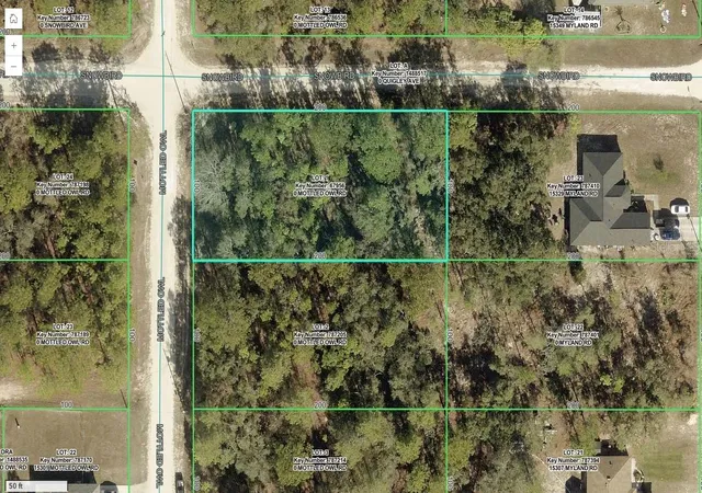 3rd image of 15326 Mottled Owl Rd, Brooksville, FL 34614 | MLS# TB8536255